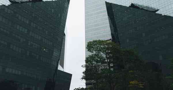 手机连接外国网络加速软件,手机上国外网站用什么加速器
