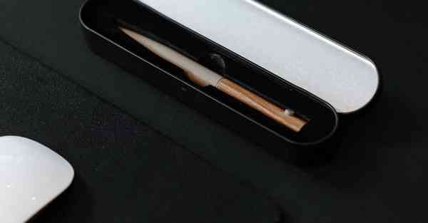 手机版布谷加速器破解版下载,布谷加速器