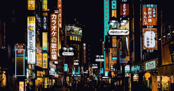 自己搭建ssr多少钱