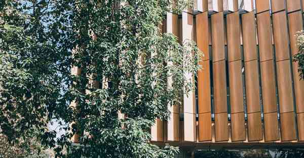 上外网的浏览器